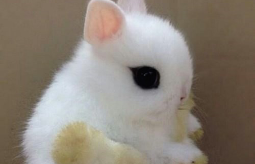 Generic placeholder thumbnail